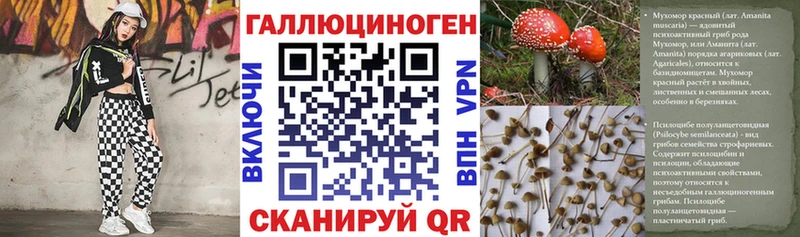 купить  цена  Тында  Псилоцибиновые грибы мухоморы 